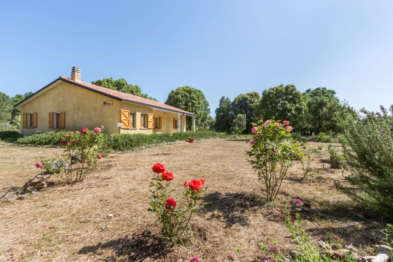Su Pitiolu - Casa Vacanze Làconi Exterior foto