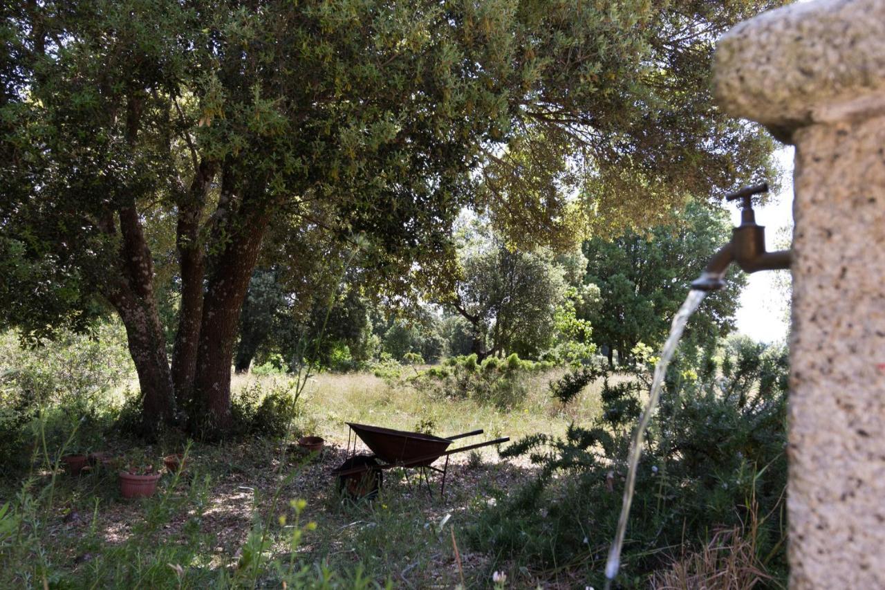 Su Pitiolu - Casa Vacanze Làconi Exterior foto