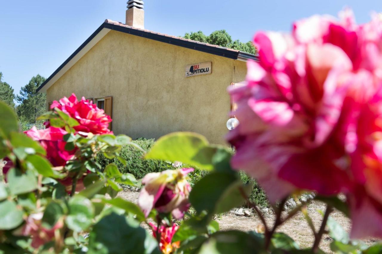 Su Pitiolu - Casa Vacanze Làconi Exterior foto