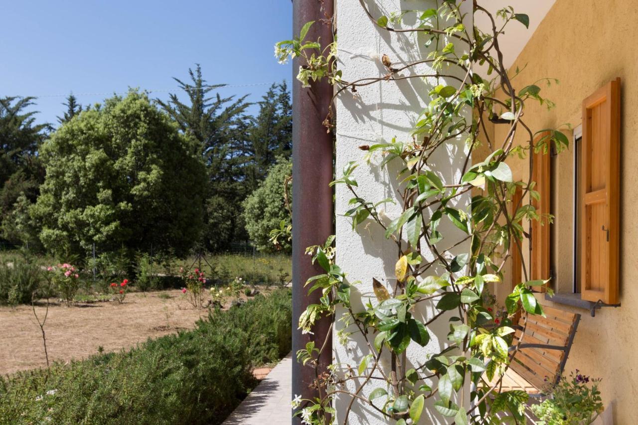 Su Pitiolu - Casa Vacanze Làconi Exterior foto